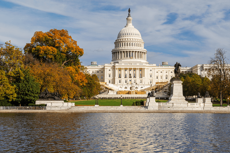 American Collegiate: estude em uma universidade top dos EUA