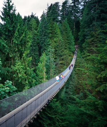 Capilano Bridge