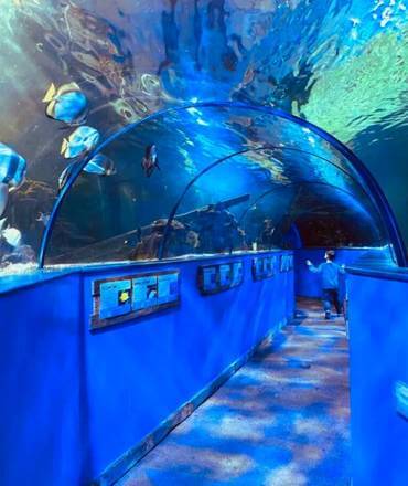 Hastings Aquarium