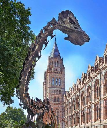 Natural History Museum