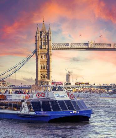 Thames River Boat Cruise