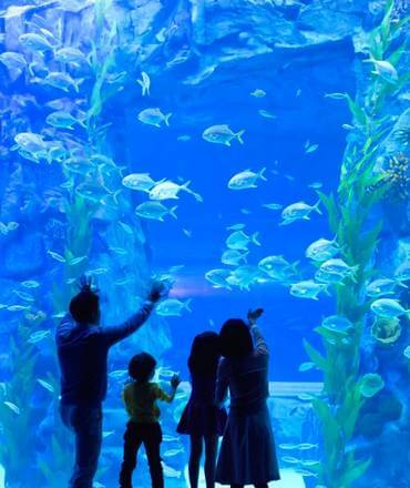Lotte World Aquarium