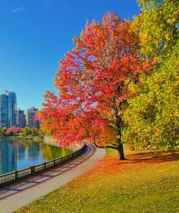 Stanley Park