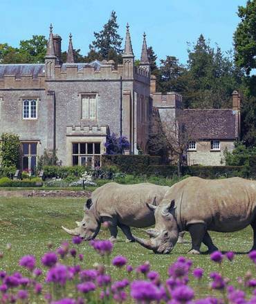 Cotswold Wildlife Park