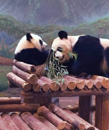 High Park Zoo