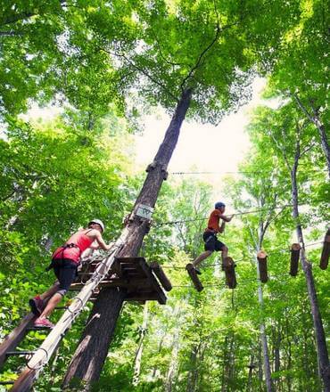 Treetop Trekking